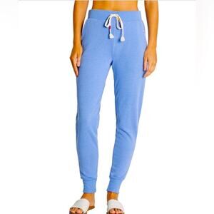 Wildfox Wedgewood Blue Blanket Stitch Parker Joggers Sz L NWT